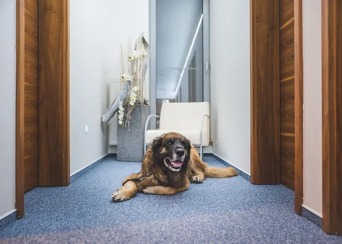 Hotell Restaurant & Design Noem Arch 4*