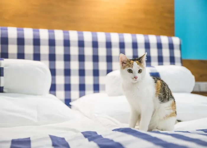 Restaurant & Design Noem Arch 4*